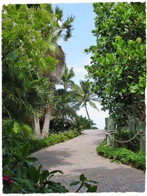 Lush Garden Paths