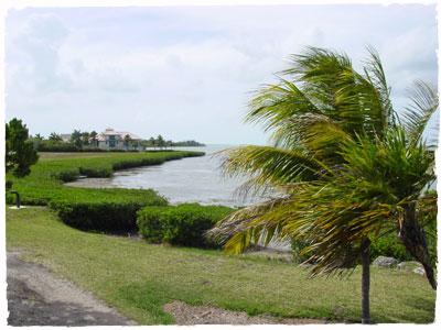 Eastern Shoreline