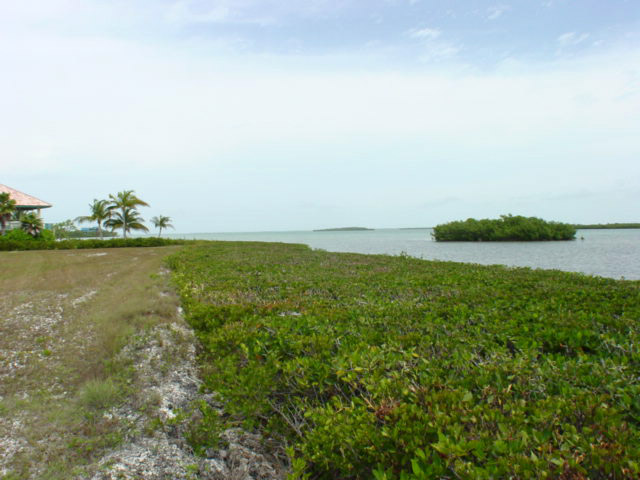 Facing Rear of Property - Looking to the Left