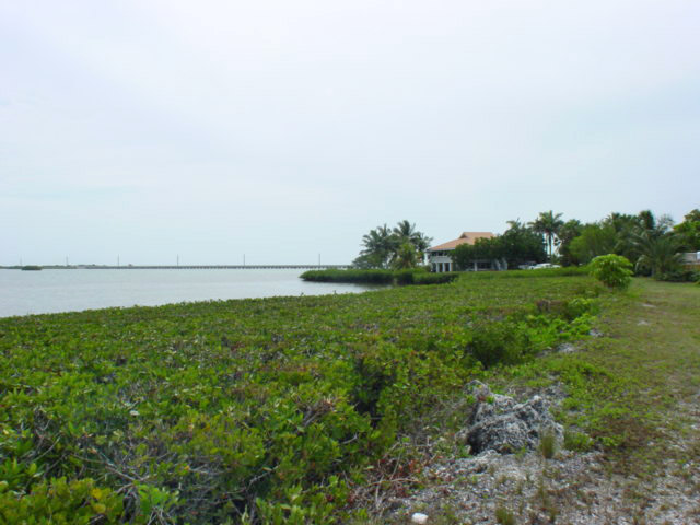 Facing Rear of Property - Looking to the Right